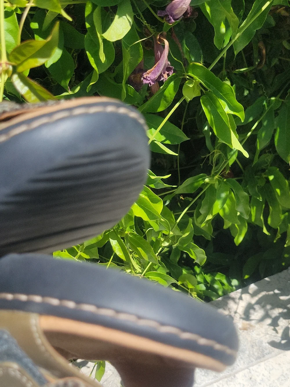 Clarks Delana Fenela Olive Snake-Texture Double-Strap Slide Sandals 7.5